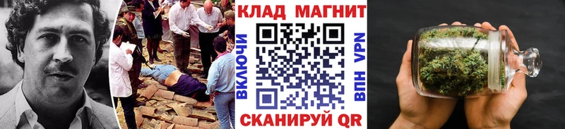 Все наркотики Судогда ГАШ  Бошки Шишки  Альфа ПВП  Меф мяу мяу 