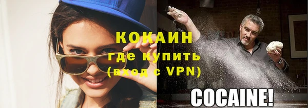 стаф Алзамай
