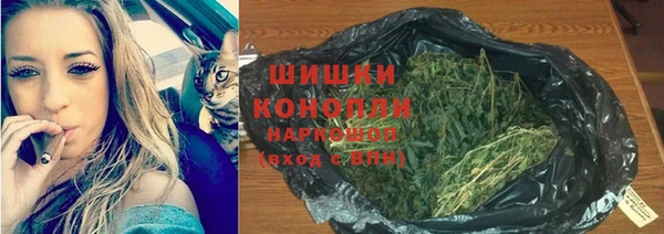 круглые Абаза