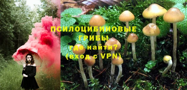 ПСИЛОЦИБИНОВЫЕ ГРИБЫ Алексин