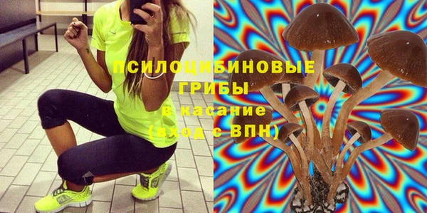 ПСИЛОЦИБИНОВЫЕ ГРИБЫ Алексин