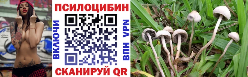 наркошоп  Судогда  Псилоцибиновые грибы GOLDEN TEACHER 